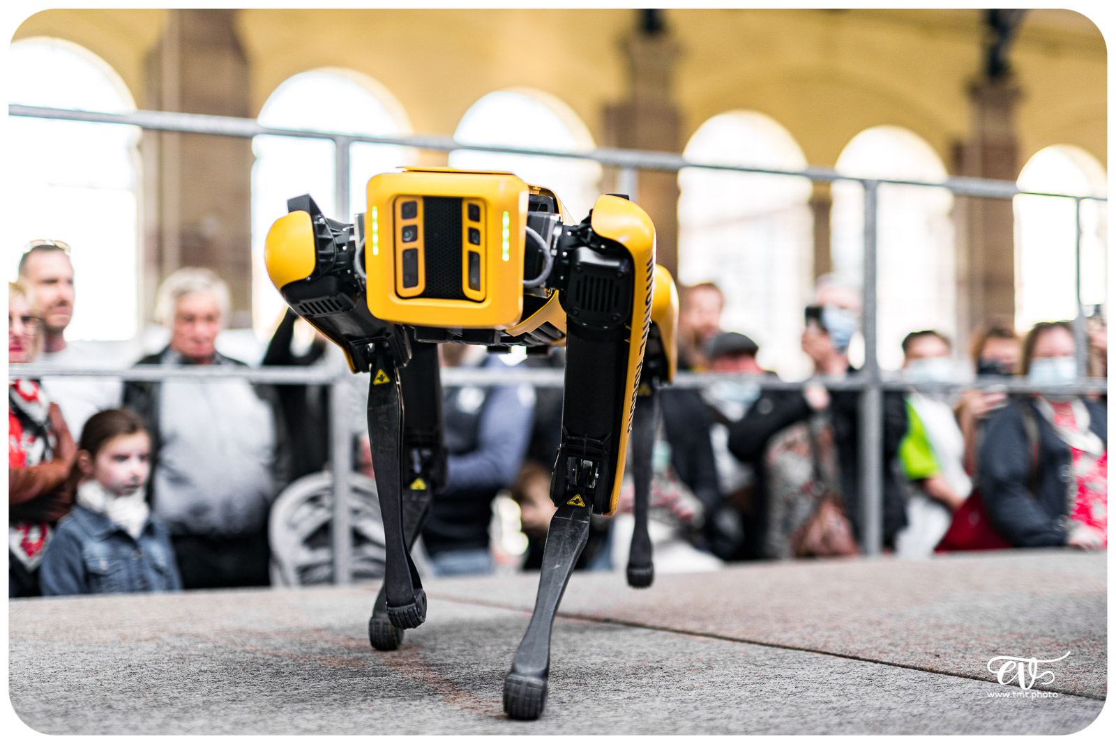 SPOT (BOSTON DYNAMICS)